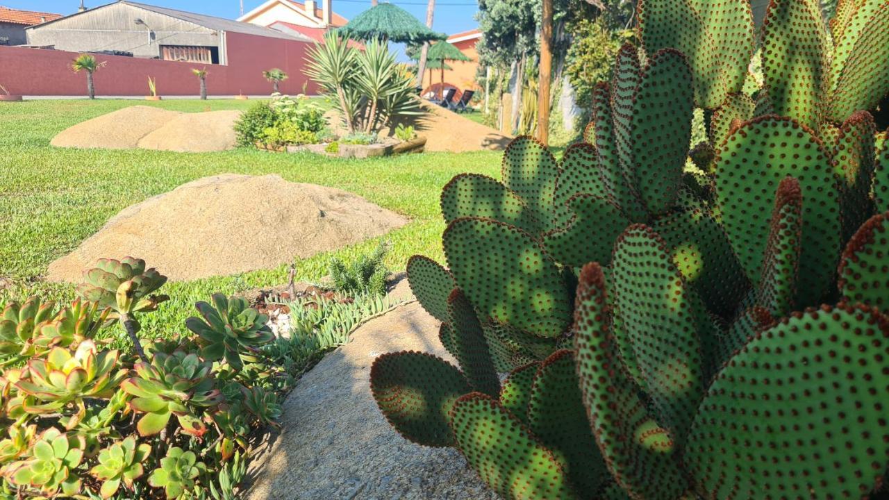 Hollidays Dreams Villa Póvoa de Varzim Exterior foto